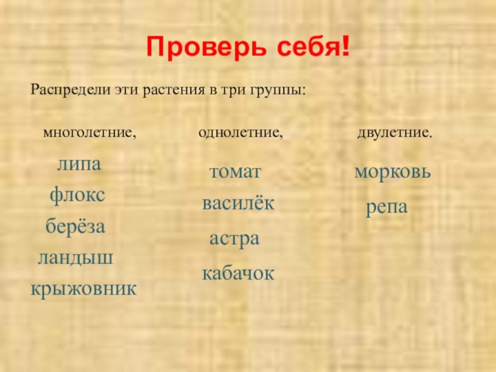 Проверь себя!Распредели эти растения в три группы:    многолетние,