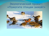 Экологический проект: Помогите птицам зимой проект по окружающему миру (4 класс)