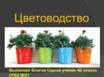 Презентация по окружающему миру Цветоводство Школа России презентация к уроку по окружающему миру (4 класс)