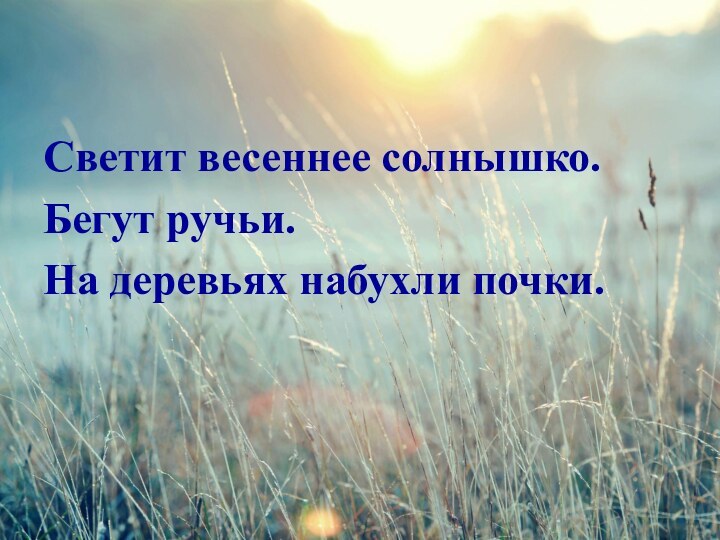 Светит весеннее солнышко.Бегут ручьи.На деревьях набухли почки.