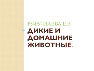 Презентация :Домашние и дикие животные презентация к уроку по окружающему миру (средняя группа)