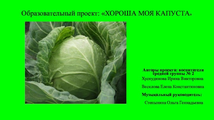 Авторы проекта: воспитатели средней группы № 2Хуснудинова Ирина ВикторовнаВеселова Елена Константиновна