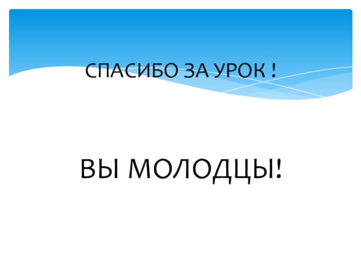 ВЫ МОЛОДЦЫ! СПАСИБО ЗА УРОК !