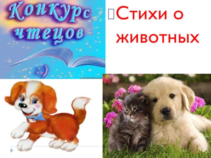 Стихи о животных