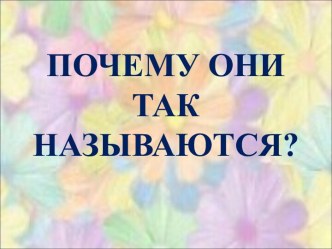 Почему они так называются? презентация к уроку по окружающему миру (1 класс)