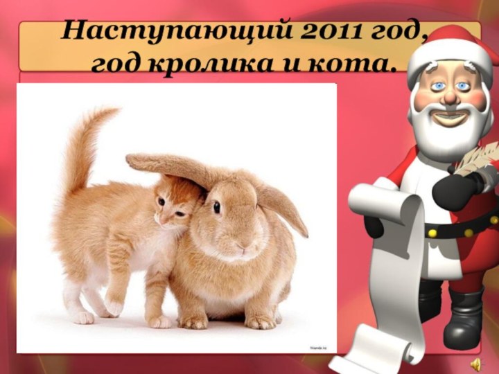 Наступающий 2011 год, год кролика и кота.
