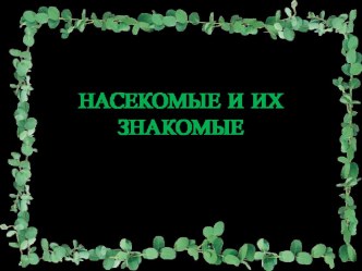 Насекомые и их знакомые презентация к уроку по окружающему миру (младшая группа)