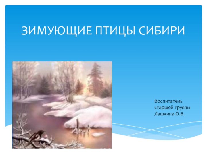 ЗИМУЮЩИЕ ПТИЦЫ СИБИРИВоспитатель старшей группы Лашкина О.В.