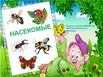 Знакомство с насекомыми