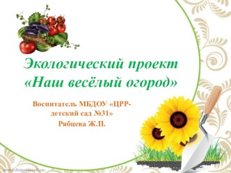 Экологический прект проект ( группа)