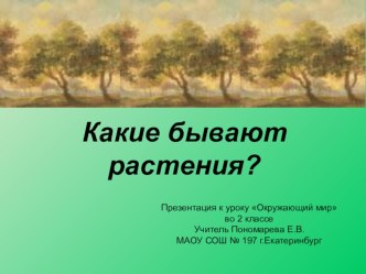 Окружающий мир 2 класс презентация к уроку по окружающему миру (2 класс)