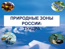 •	Природные зоны России: Тундра презентация к уроку по окружающему миру (4 класс)