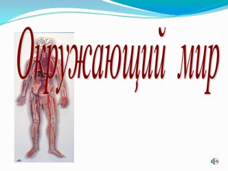 Урок : Кровеносная система. план-конспект урока по окружающему миру (4 класс) по теме