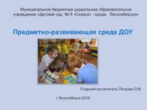 Предметно-развивающая среда ДОУ презентация