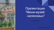 Презентация Мини-музей Мир насекомых презентация к уроку по окружающему миру (средняя группа)