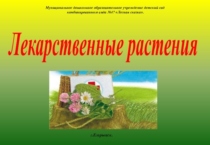 Лекарственные растения нашего края.Муниципальное дошкольное образовательное учреждение детский сад комбинированного вида №47 «Лесная сказка».г.Егорьевск.