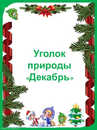 Уголок природы. Декабрь презентация по окружающему миру