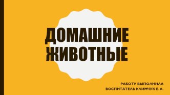 Презентация Домашние животные презентация к уроку по окружающему миру (младшая группа)