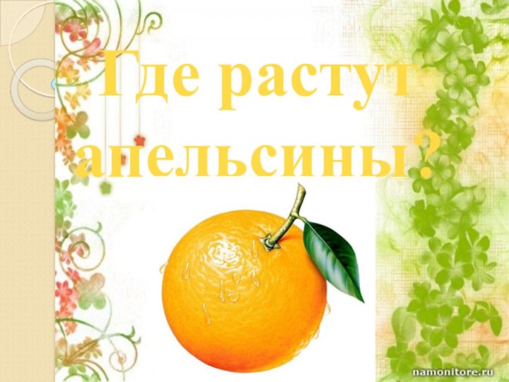 АпельсинГде растут апельсины?