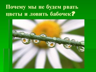 Тема урока: Почему мы не будем рвать цветы и ловить бабочек? презентация к уроку по окружающему миру (1 класс)