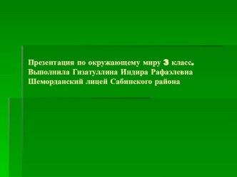 Презентация по окружающему миру 3 класс презентация к уроку по окружающему миру (3 класс) по теме