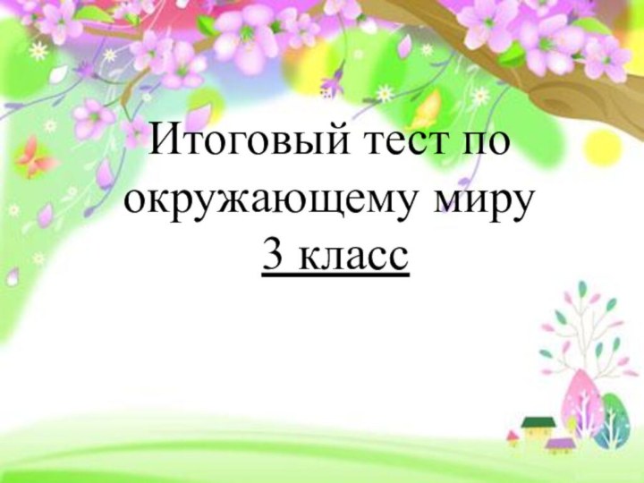 Итоговый тест по окружающему миру 3 класс