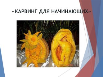 Карвинг проект