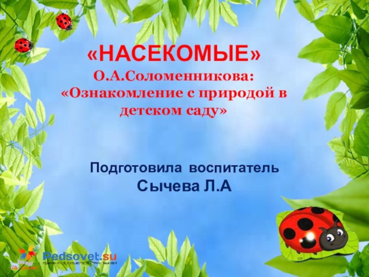 «НАСЕКОМЫЕ» О.А.Соломенникова: «Ознакомление с природой в детском саду» Подготовила воспитатель Сычева Л.А