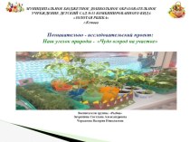 Познавательно - исследовательский проект: Наш уголок природы - Чудо огород на участке проект по окружающему миру (младшая группа)