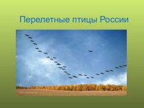 Перелетные птицы России. Презентация для подготовительной группы презентация к уроку по окружающему миру (подготовительная группа)