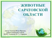 Животные Саратовской области. Шакал презентация к уроку по окружающему миру (4 класс)
