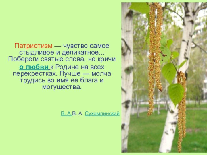 Патриотизм — чувство самое стыдливое и деликатное... Побереги святые слова, не кричи о