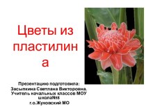 Работа с пластилином. Тропический цветок. презентация к уроку по технологии (1 класс) по теме