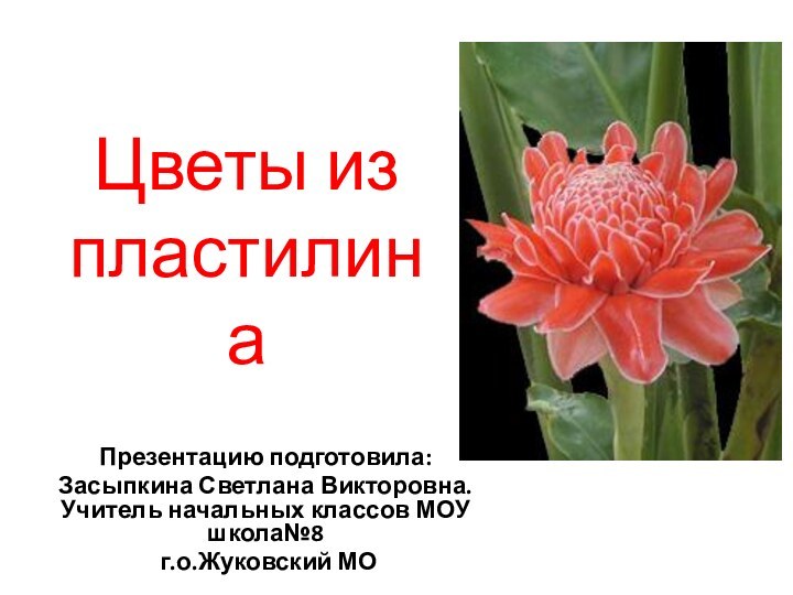 Цветы из пластилинаПрезентацию подготовила: Засыпкина Светлана Викторовна. Учитель начальных классов МОУ школа№8 г.о.Жуковский МО