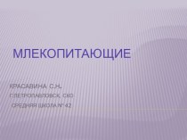 презентация к уроку познания мира 1 класс по теме Млекопитающие презентация к уроку по окружающему миру (1 класс)