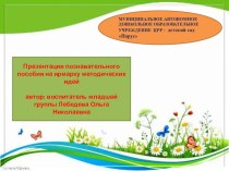 Презентация Макет  Времена года презентация к уроку по окружающему миру (младшая группа)