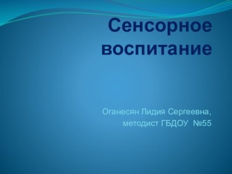 Презентация Сенсорное воспитание презентация по окружающему миру