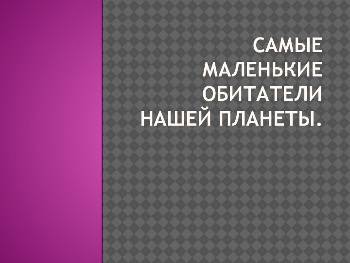 Самые маленькие обитатели нашей планеты.