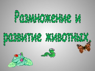 Размножение и развитие животных творческая работа учащихся по окружающему миру (3 класс)