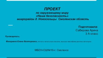 Социально - значимый проект Наша безопасность 3 класс проект по окружающему миру (3 класс)