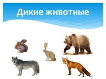 Интерактивная игра Дикие животные (1 часть) презентация урока для интерактивной доски по окружающему миру (средняя группа)