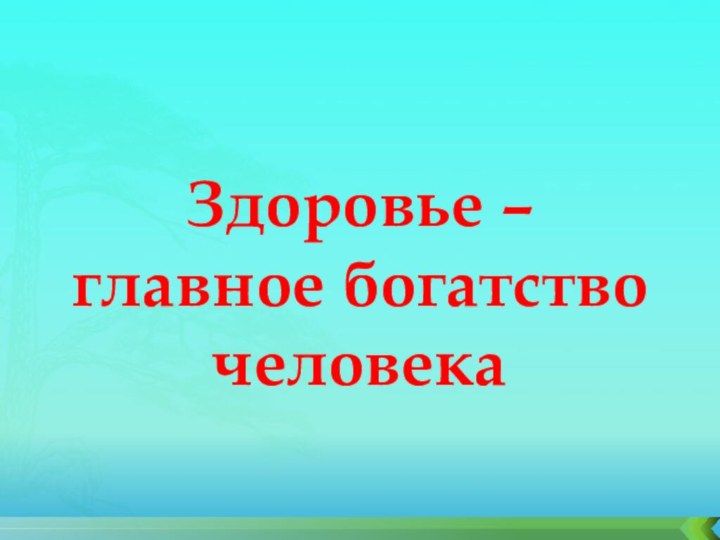 Здоровье –  главное богатство человека