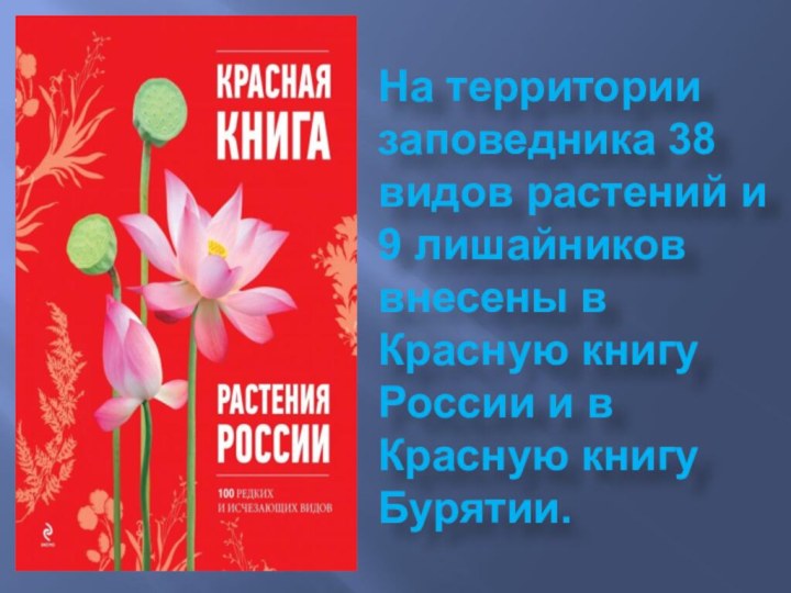 На территории заповедника 38 видов растений и 9 лишайников внесены в Красную