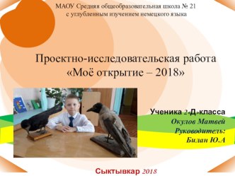Научно-исследовательская работа проект (2 класс)