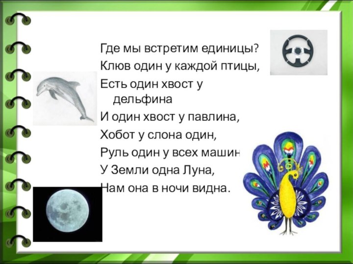 Где мы встретим единицы?Клюв один у каждой птицы,Есть один хвост у дельфинаИ