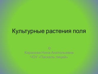 Презентация Растения поля. 2 класс. презентация к уроку по окружающему миру (2 класс)