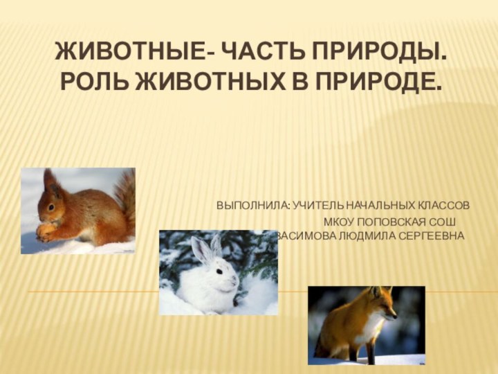 Животные- часть природы.  Роль животных в природе.