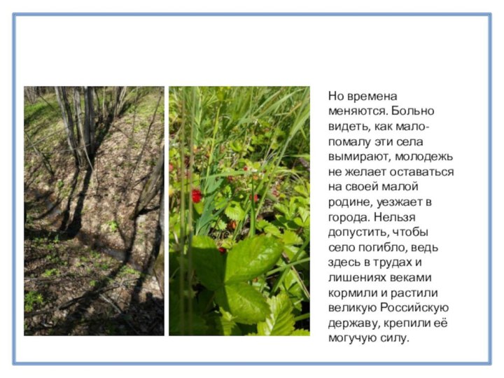 Но времена меняются. Больно видеть, как мало-помалу эти села вымирают, молодежь не