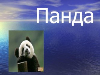 Панды---презентация Писанко Даши творческая работа учащихся по окружающему миру (4 класс) по теме