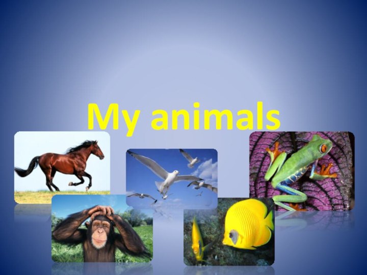 My animals